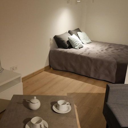 Auschwitz New Flat For Rent Air Conditioning In The Apartament Oswiecim Nowe Mieszkanie - Centrum Klimatyzacja W Mieszkaniu Apartment ภายนอก รูปภาพ