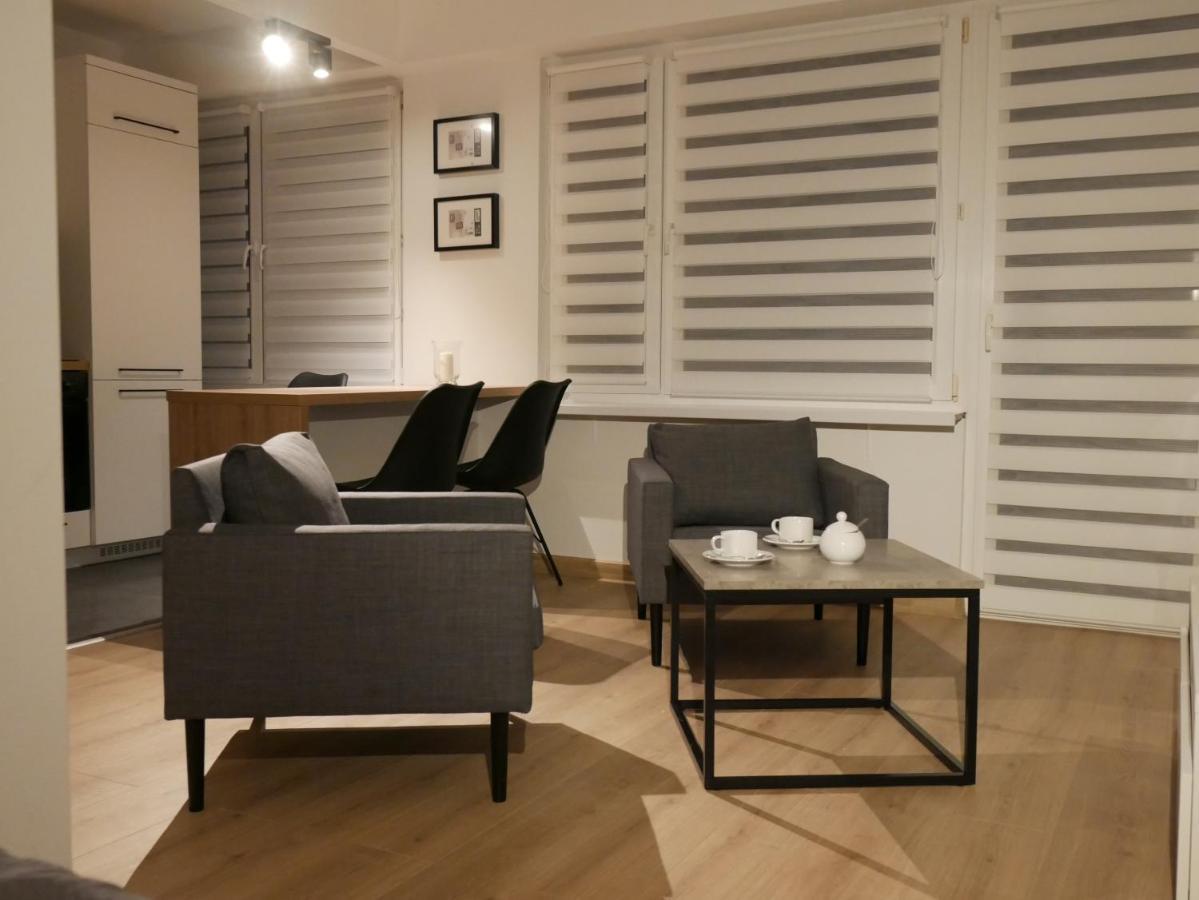 Auschwitz New Flat For Rent Air Conditioning In The Apartament Oswiecim Nowe Mieszkanie - Centrum Klimatyzacja W Mieszkaniu Apartment ภายนอก รูปภาพ