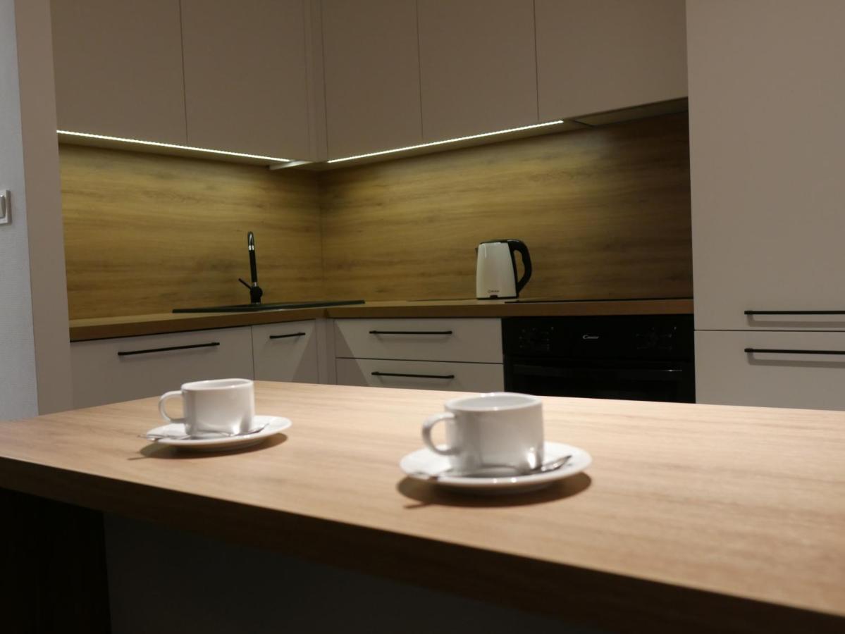 Auschwitz New Flat For Rent Air Conditioning In The Apartament Oswiecim Nowe Mieszkanie - Centrum Klimatyzacja W Mieszkaniu Apartment ภายนอก รูปภาพ