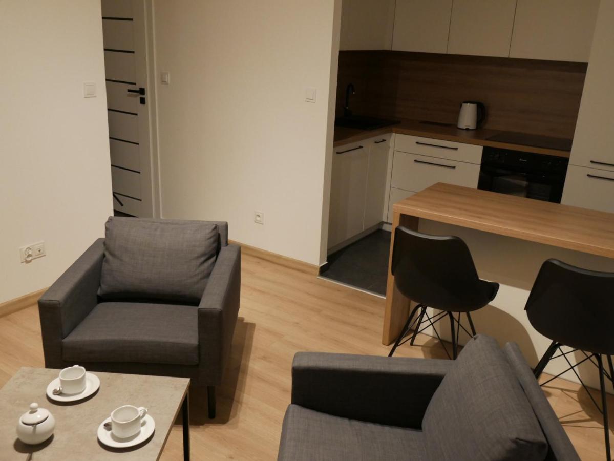 Auschwitz New Flat For Rent Air Conditioning In The Apartament Oswiecim Nowe Mieszkanie - Centrum Klimatyzacja W Mieszkaniu Apartment ภายนอก รูปภาพ