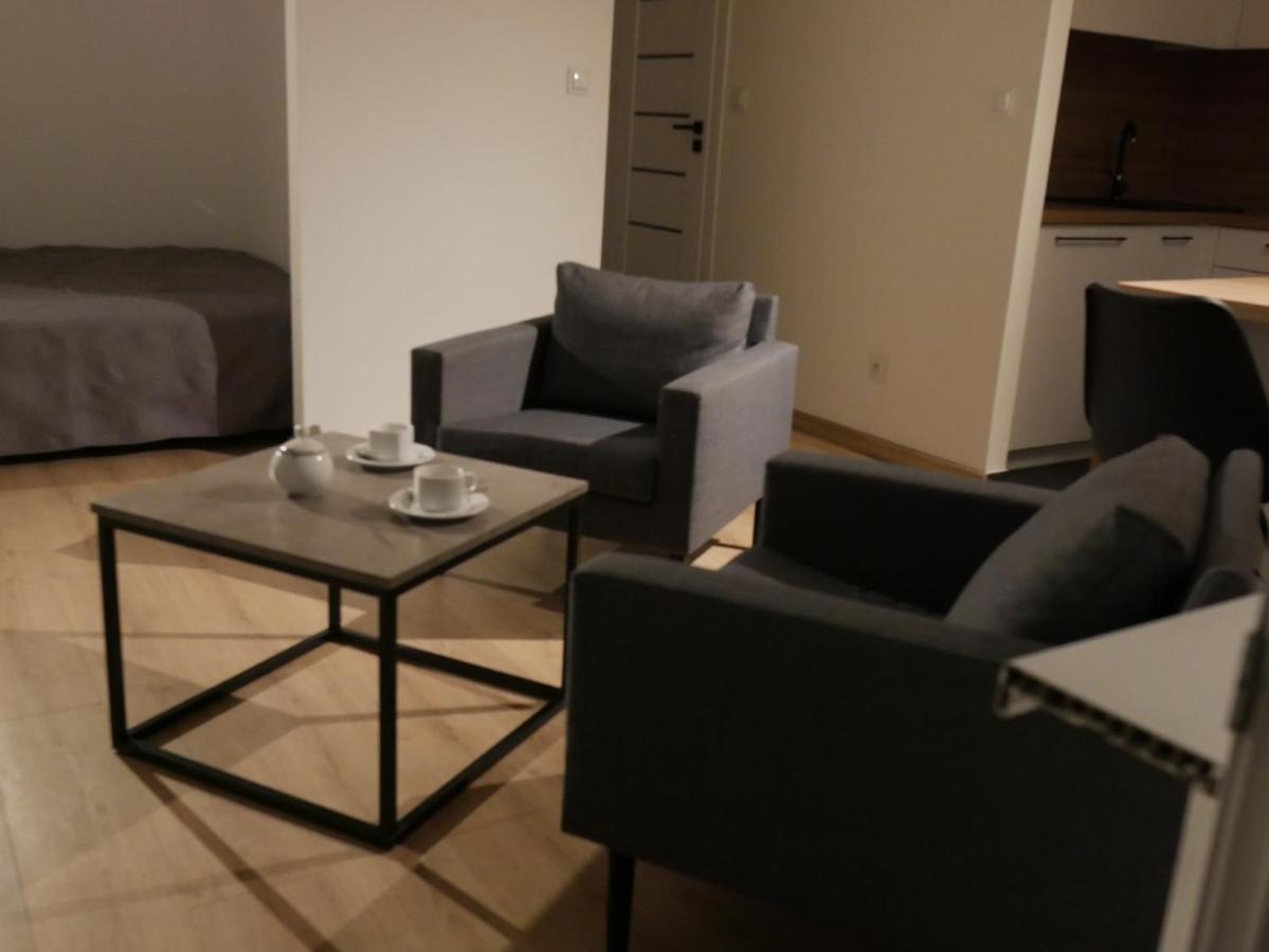 Auschwitz New Flat For Rent Air Conditioning In The Apartament Oswiecim Nowe Mieszkanie - Centrum Klimatyzacja W Mieszkaniu Apartment ภายนอก รูปภาพ