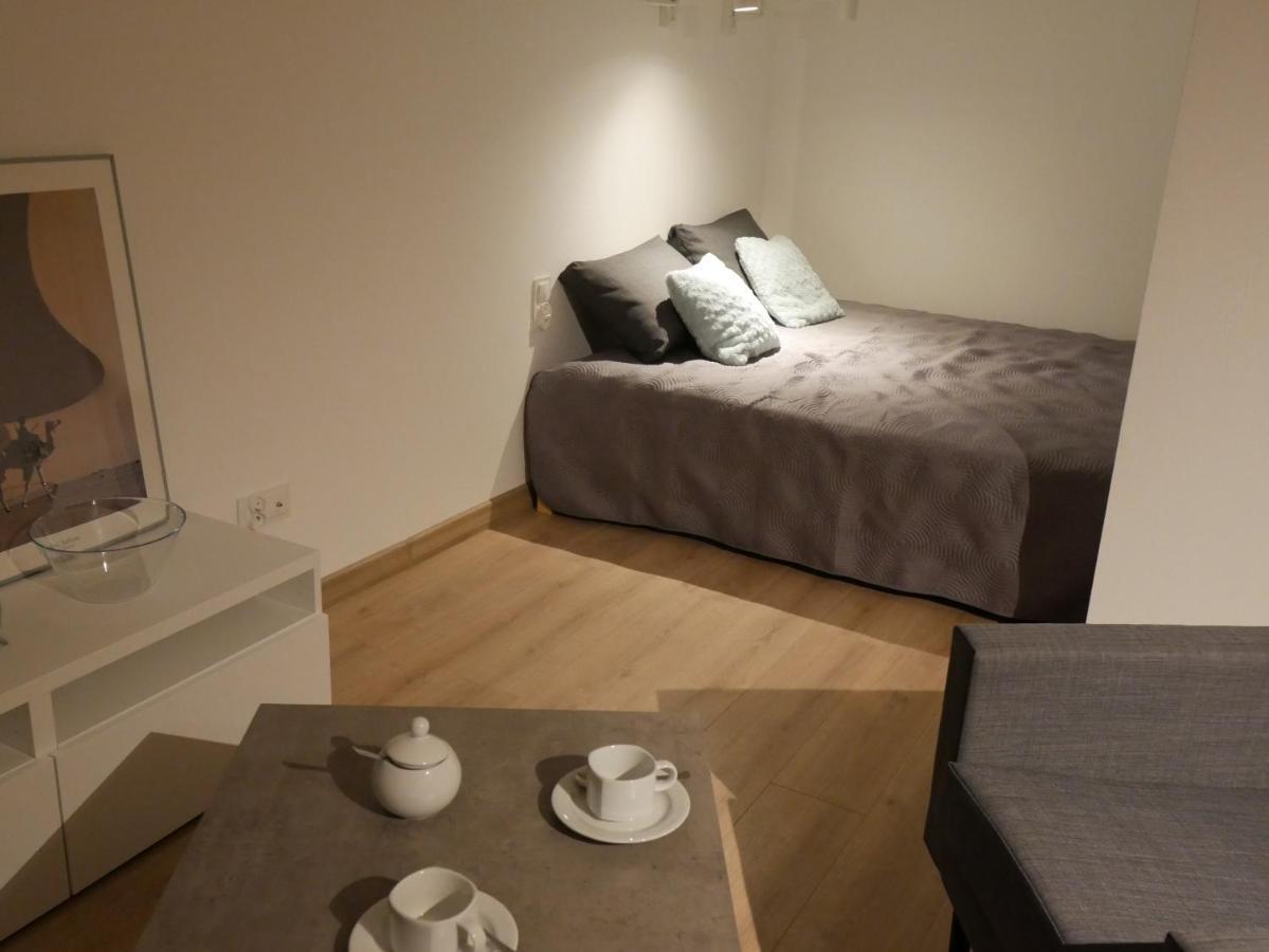 Auschwitz New Flat For Rent Air Conditioning In The Apartament Oswiecim Nowe Mieszkanie - Centrum Klimatyzacja W Mieszkaniu Apartment ภายนอก รูปภาพ